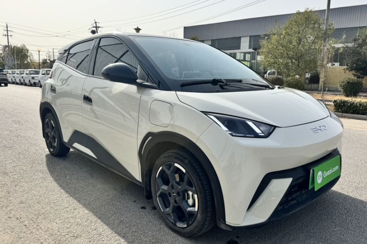 Used BYD Seagull 2025 305 km Free Version