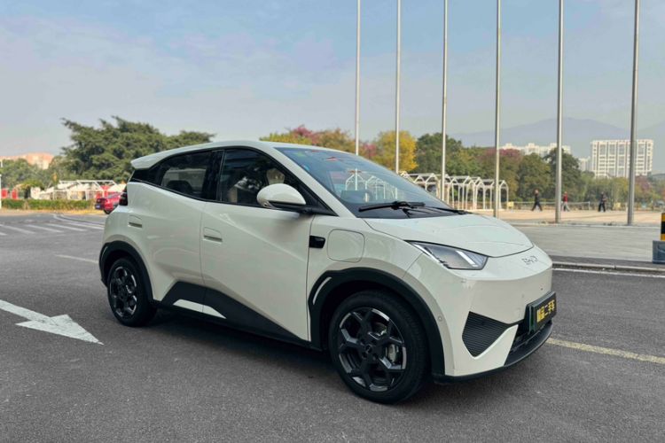 Used BYD Seagull 2025 Smart Drive Version 305 km Freedom Edition
