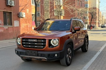 Used Haval DARGO 2021 1.5T DCT Two-Wheel Drive Labrador Edition