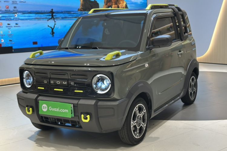 Used  Panda 2024 200km Panda Rider
