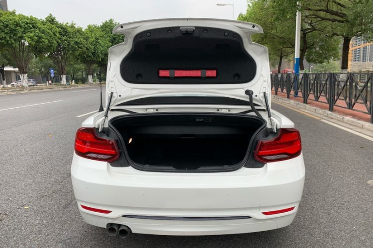 Used BMW 2 Series 2019 225i Convertible Coupe Sports Design Package
