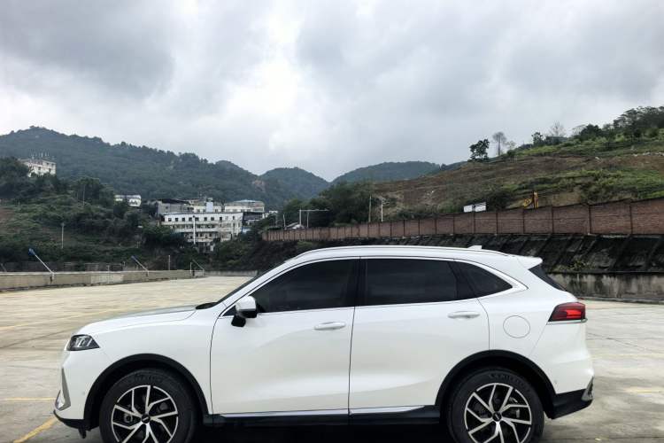 Used Wey Latte DHT 2022 1.5T DHT Extra-Large Cup