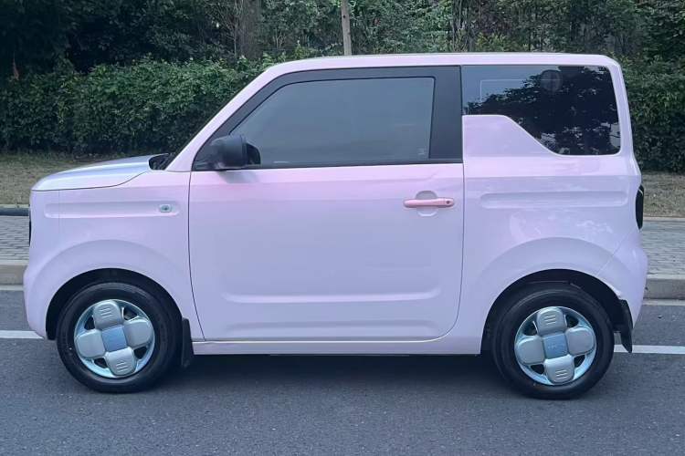 Used  Panda 2023 Panda Mini 200km Endurance Bear
