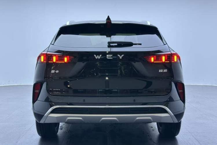 Used Wey Mocha 2021 2.0T Two-Wheel-Drive Premium Edition