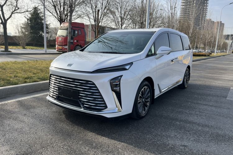 Used Buick GL8 2025 Lu Zun Deluxe Edition