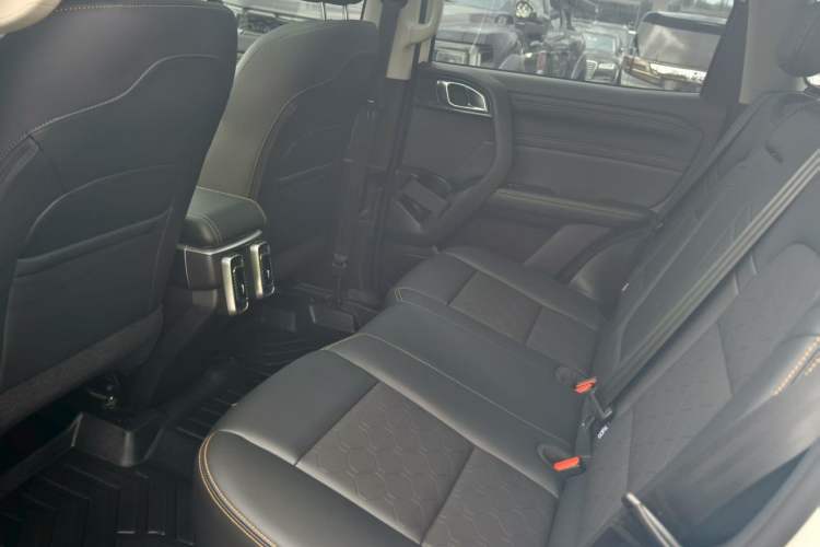 Used Haval DARGO 2024 2.0T DCT Chinese Rural Dog Edition
