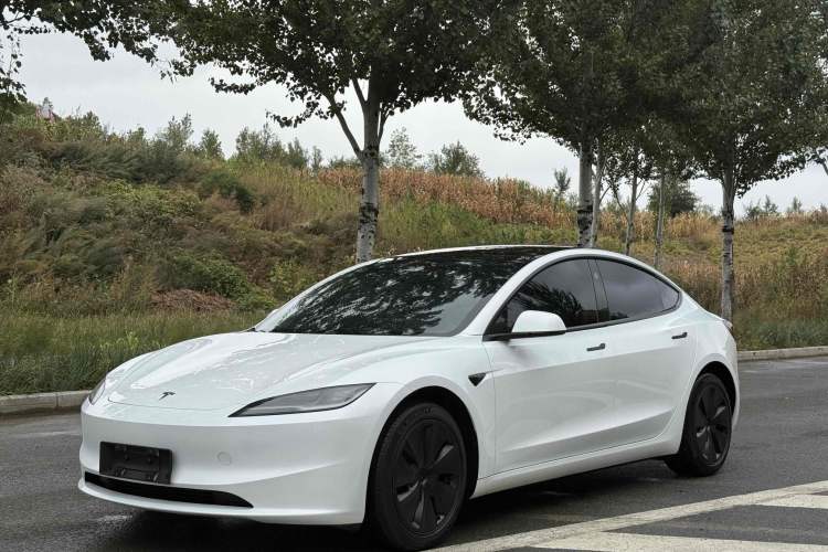 Used Tesla Model 3 2023 Rear-Wheel-Drive Version
