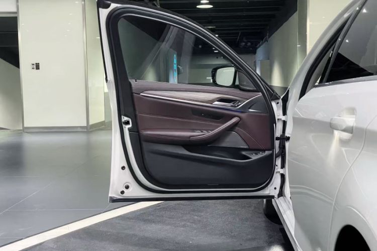 Used BMW 5 Series New Energy 2020 530Le Luxury Package
