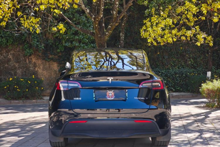 Used Tesla Model Y 2022 Rear-Wheel-Drive Version