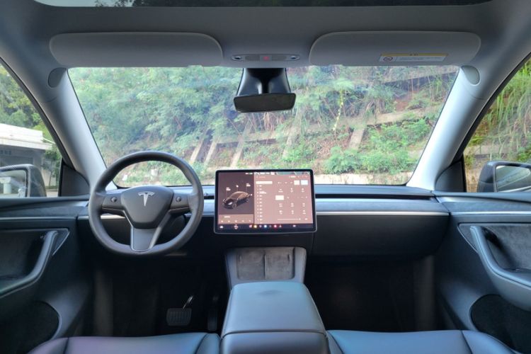 Used Tesla Model Y 2021 Long-Range All-Wheel-Drive Version 3D7
