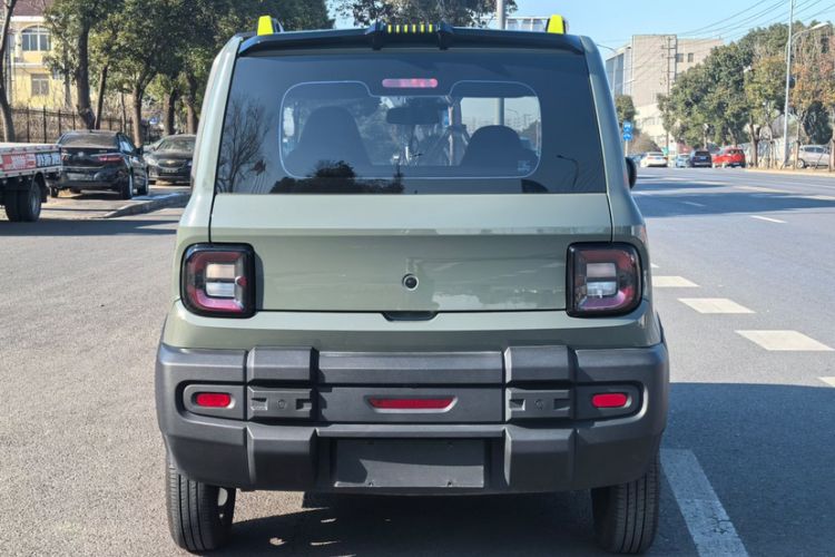 Used  Panda 2024 200km Panda Rider