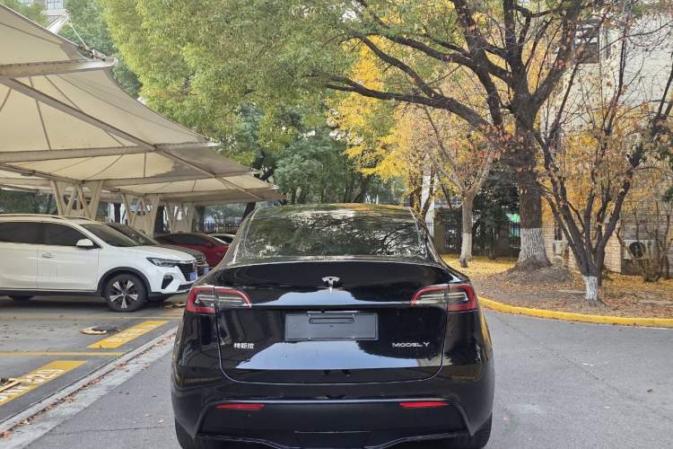 Used Tesla Model Y 2021 Standard Range Rear-Wheel Drive Version