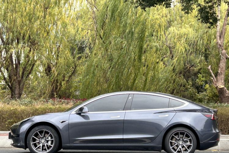 Used Tesla Model 3 2020 Standard Range Rear-Wheel Drive Upgraded Version
