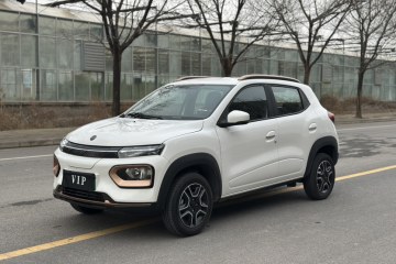 Used Dongfeng NAMMI EX1 2023 PRO Light Wind Edition Lightning Model