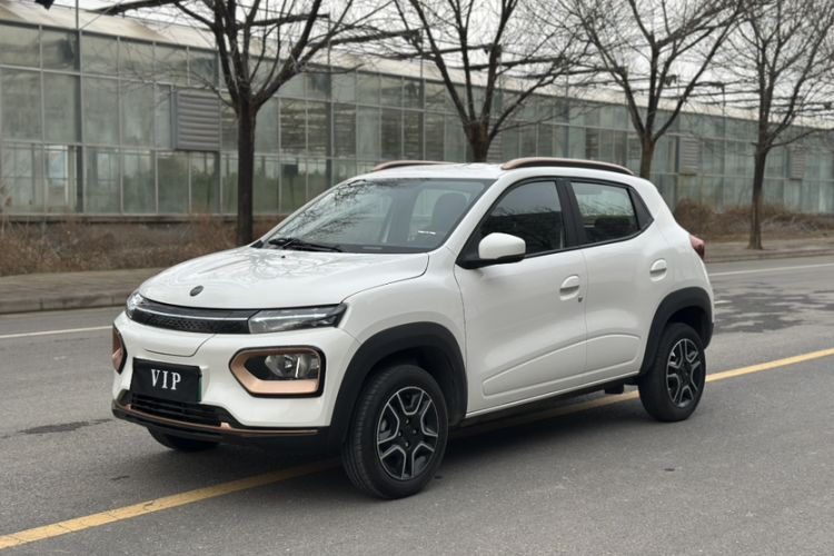 Used Dongfeng NAMMI EX1 2023 PRO Light Wind Edition Lightning Model