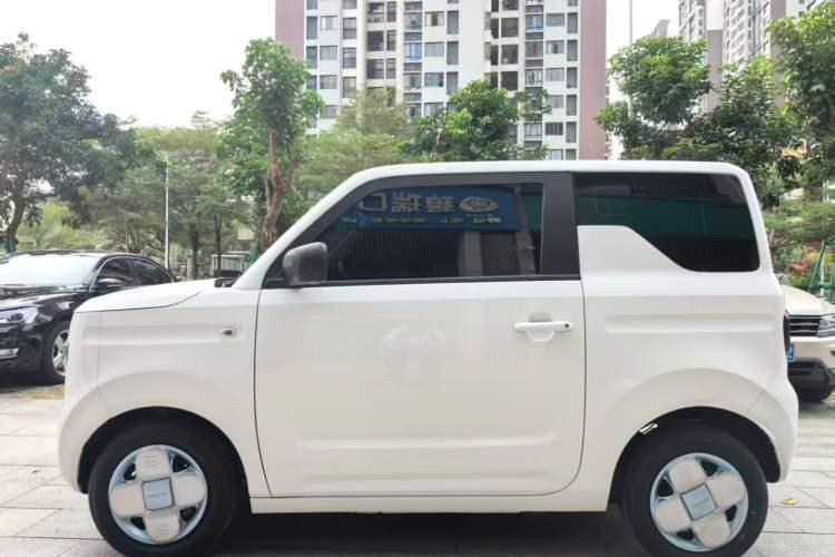 Used  Panda 2023 Panda Mini 200km Endurance Bear
