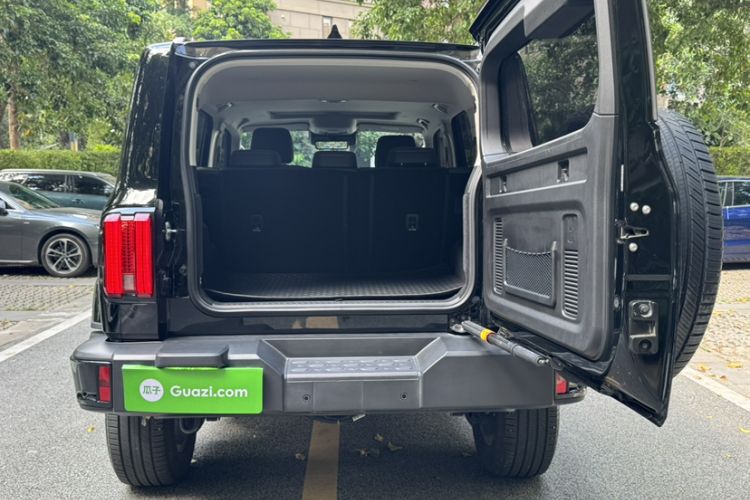 Used Tank 300 2024 2.0T Crosser
