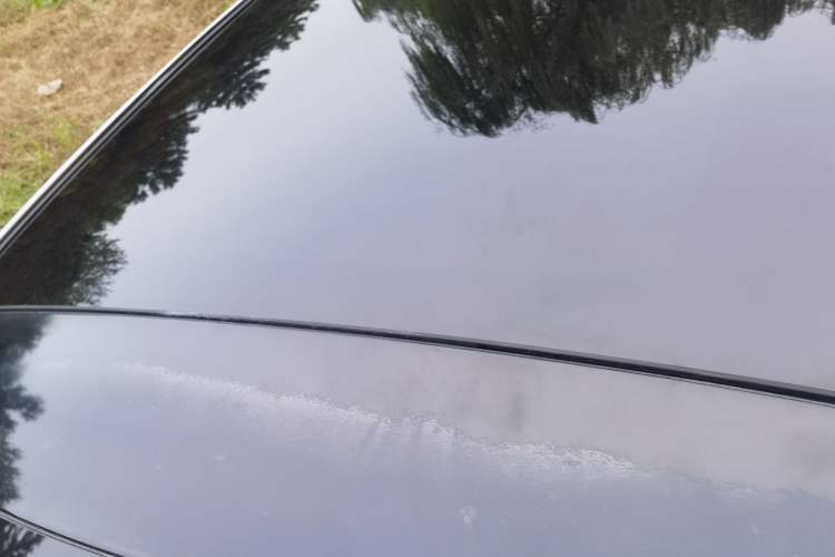 Used Mercedes-Benz C-Class 2016 C 200 L Sport Edition
