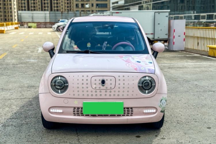 Used ORA Black Cat 2019 351 km Lingzhi Edition
