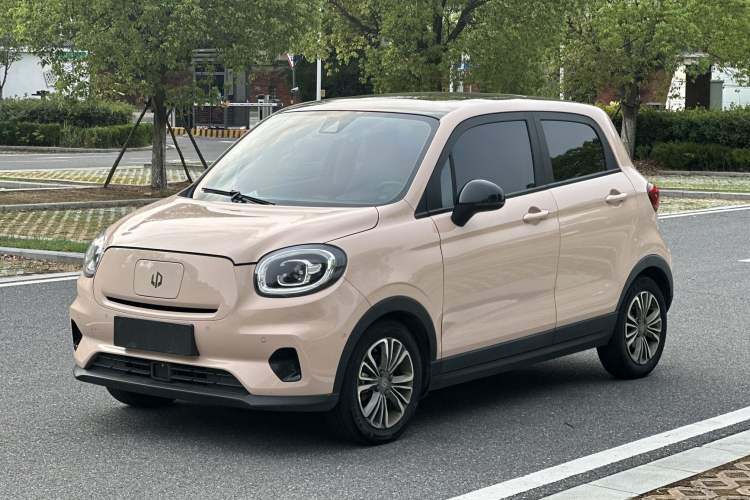 Used Leapmotor T03 2021 400 Luxury Edition
