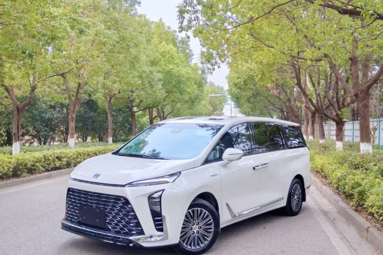 Used Buick GL8 New Energy 2024 Lu Zun Luxury Edition 6-Seater