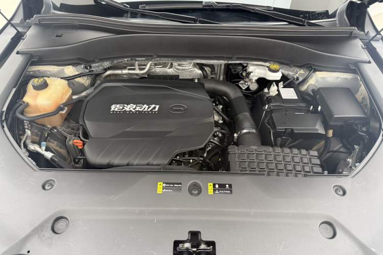 Used GAC Trumpchi GS8 2022 Linghang Series 2.0 TGDI Two-Wheel-Drive Luxury Smart Connectivity Version (7 Seats)