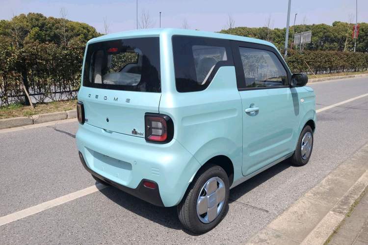 Used  Panda 2024 Panda Mini 200km Endurance Bear
