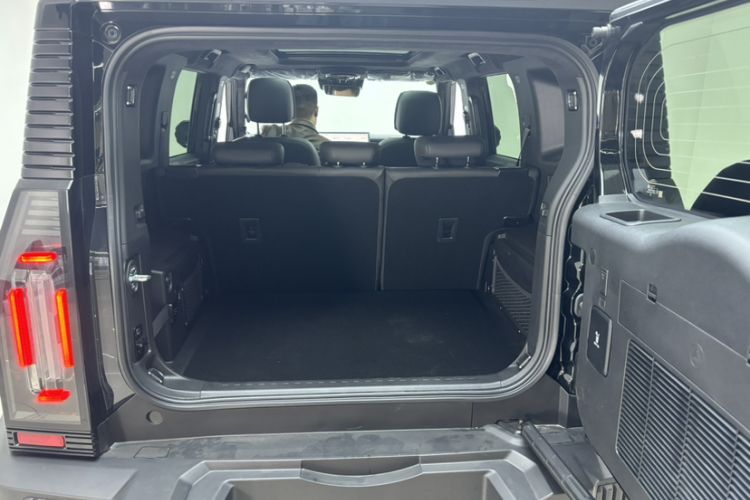 Used  Shanhai T2 2024 C-DM 208KM Mountain & Wilderness Edition
