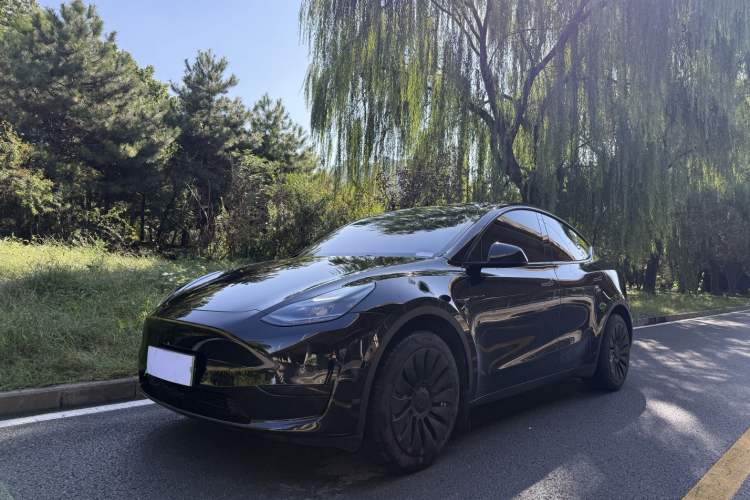 Used Tesla Model Y 2022 Revised Version Rear-Wheel Drive