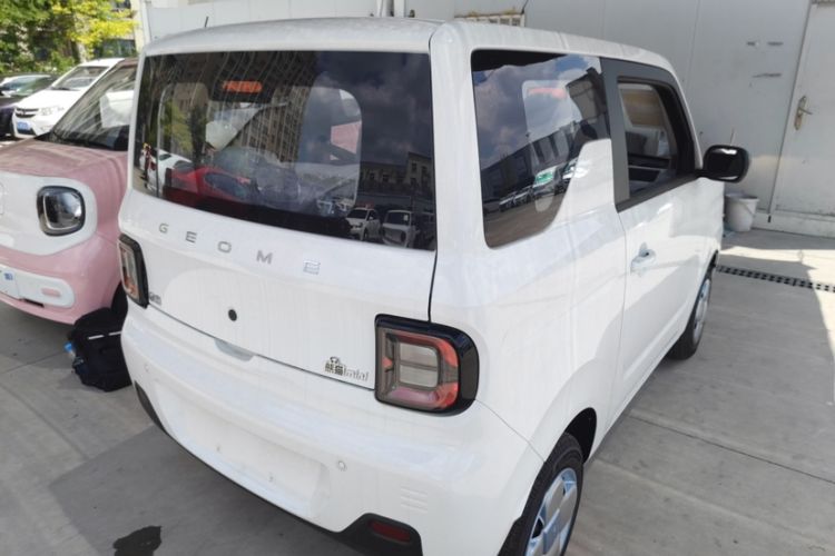 Used  Panda 2024 Panda Mini 200km Endurance Bear
