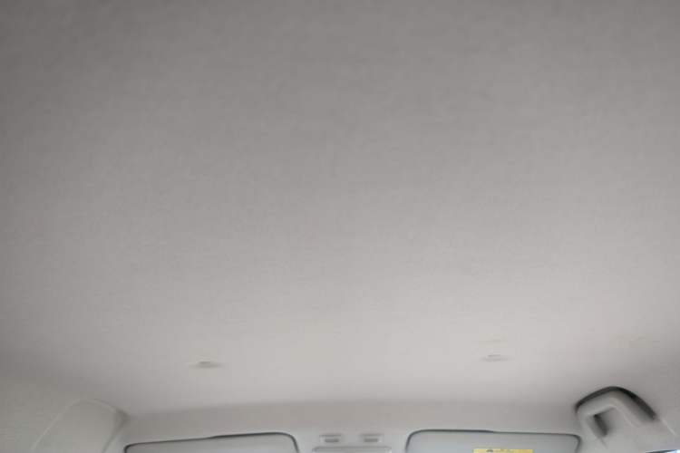 Used ORA Black Cat 2019 351 km Goddess Edition
