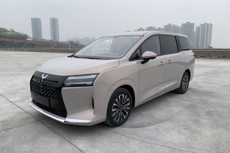 Used Wuling Wuling Starlight 730 