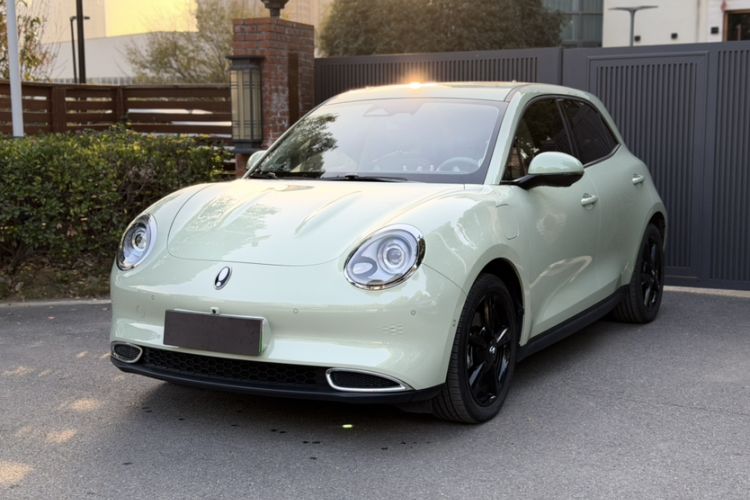 Used ORA Good Cat 2024 401 km Range Luxury Version 135 kW