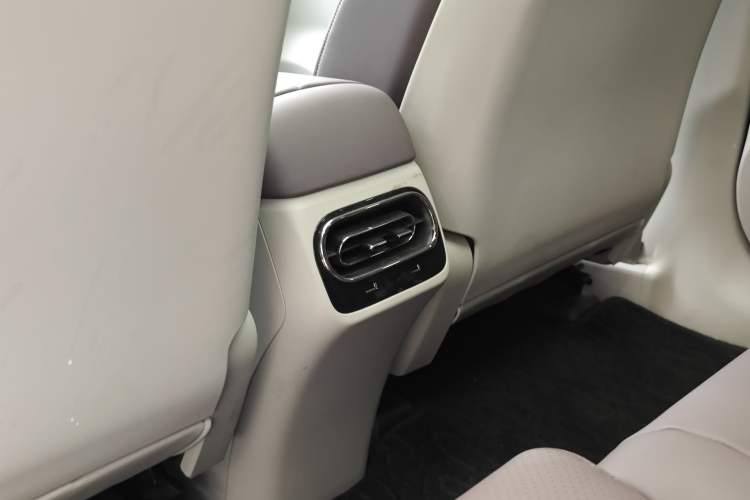 Used Leapmotor C11 2021 Performance Edition
