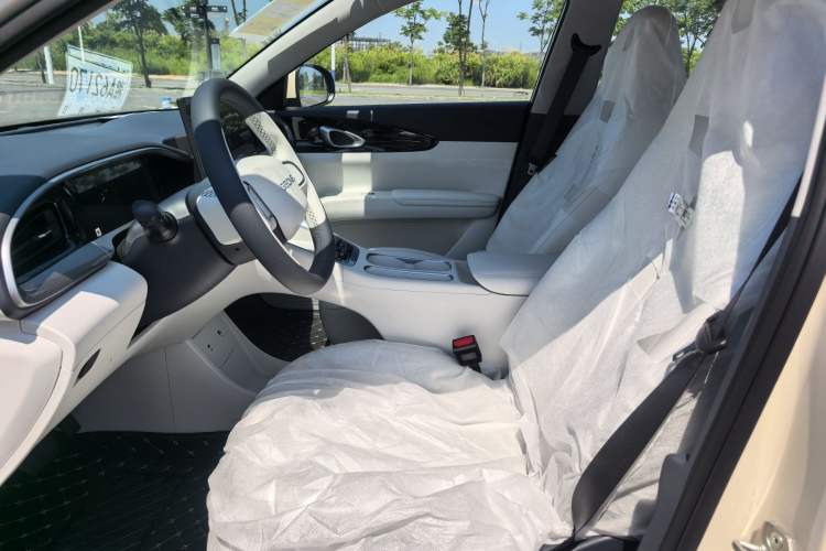 Used  Geome 2025 310km Dream Edition
