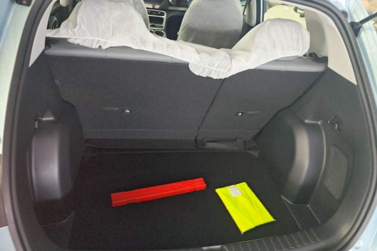 Used  Geome 2025 310km Youth Edition
