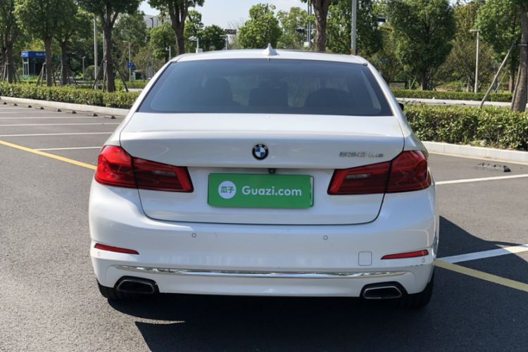 Used BMW 5 Series New Energy 2019 530Le Luxury Package
