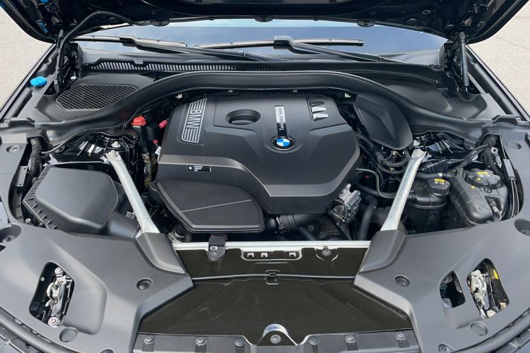 Used BMW 5 Series 2020 525Li Luxury Package