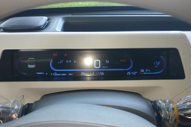 Used  Panda 2024 Panda Mini 200km Endurance Bear
