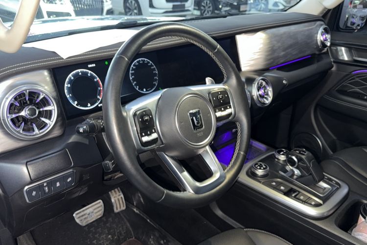 Used Tank 300 2021 City Edition 2.0T—Truly Stylish
