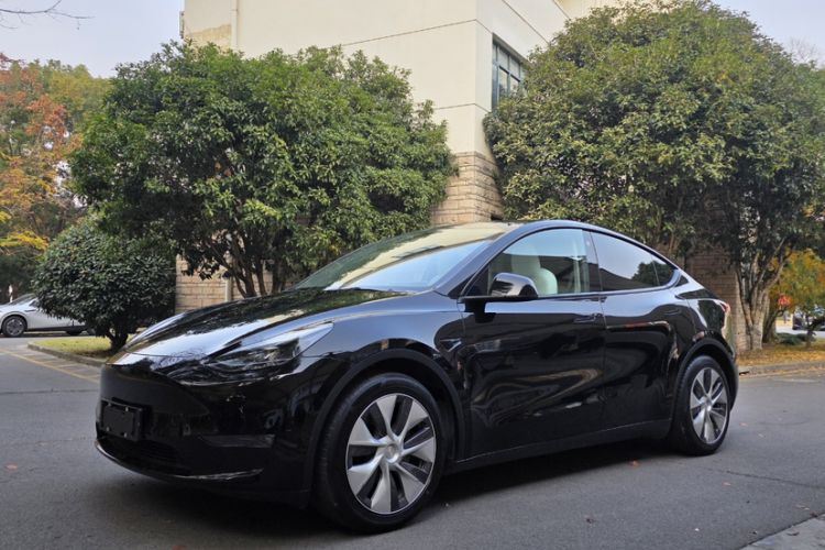 Used Tesla Model Y 2021 Standard Range Rear-Wheel Drive Version