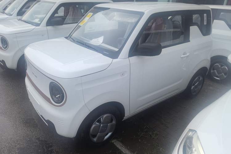 Used  Panda 2024 Panda Mini 200km Endurance Bear
