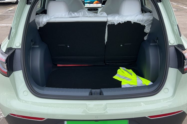 Used  Geome 2025 310km Dream Edition
