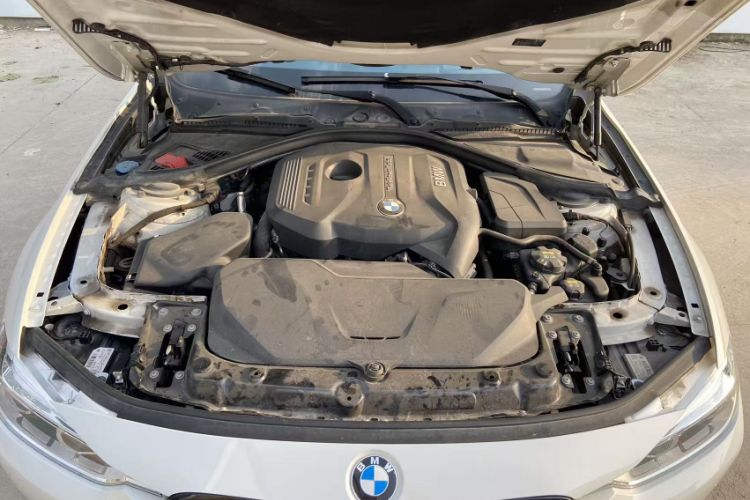 Used BMW 3 Series 2017 320Li Luxury Design Package
