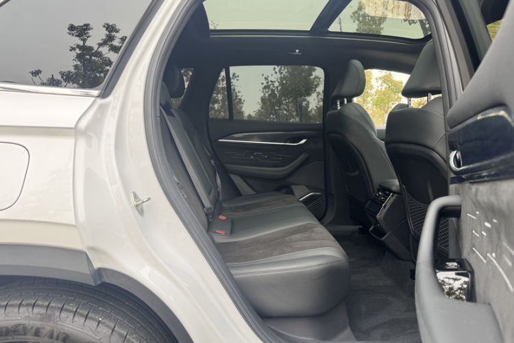 Used Geely Auto Monjaro L 2024 2.0TD High-Power Automatic Two-Wheel Drive Skyline Edition
