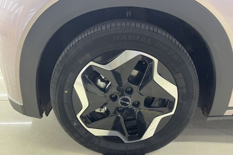 Used BYD Dolphin 2021 405 km Free Version
