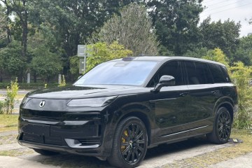 Used Denza N9 2025 Prestige Version