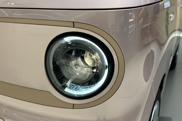 Used  Panda 2024 Panda Mini 200km Endurance Bear
