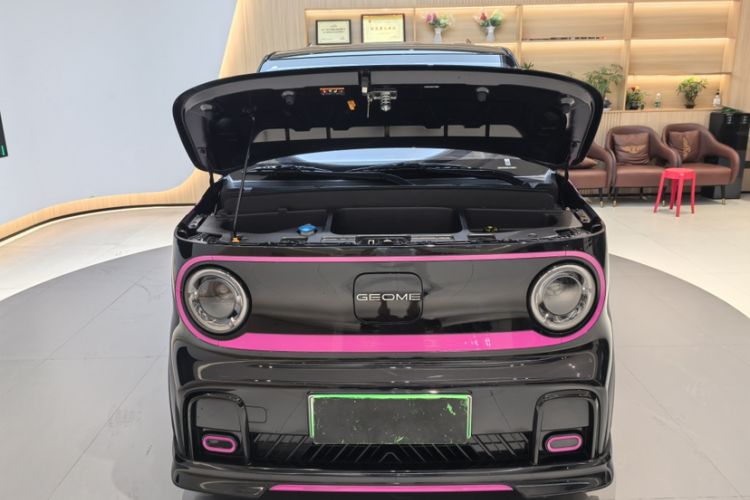 Used  Panda 2024 200km Panda Kart
