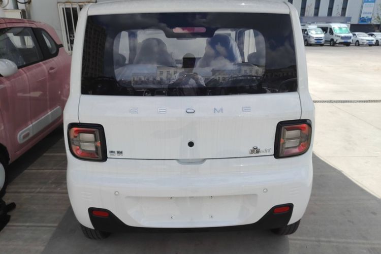 Used  Panda 2024 Panda Mini 200km Endurance Bear
